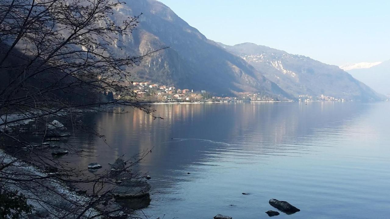 New Eleven Apartment on Como Lake Oliveto Lario Exterior foto